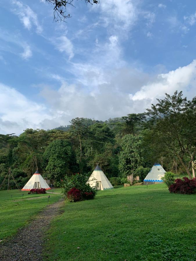 Bosque De Aventura & Glamping Refugio Del Bosque La Mesa (Tequendama)