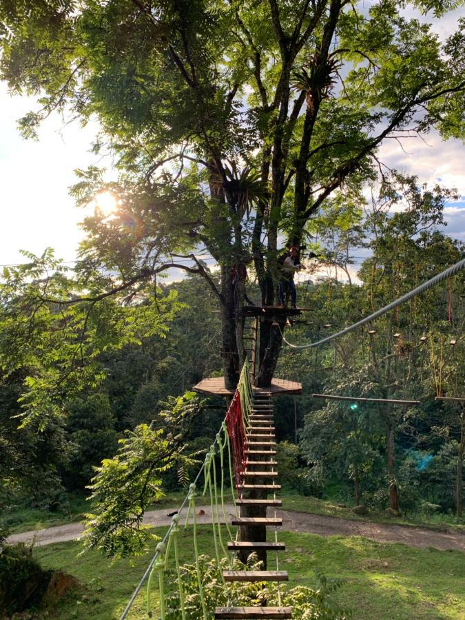 Bosque De Aventura & Glamping Refugio Del Bosque * La Mesa (Tequendama)