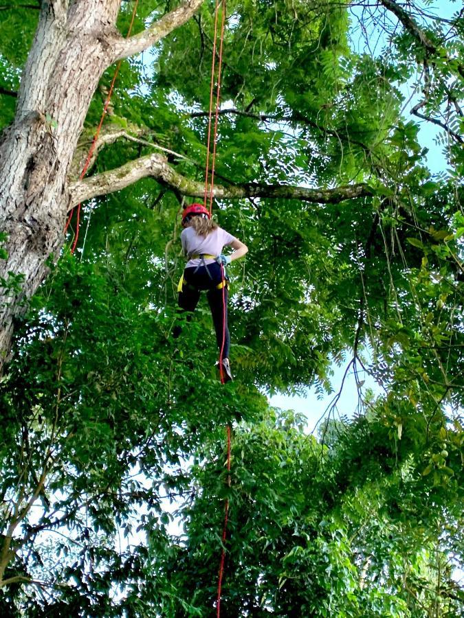 Bosque De Aventura & Glamping Refugio Del Bosque Tente de luxe