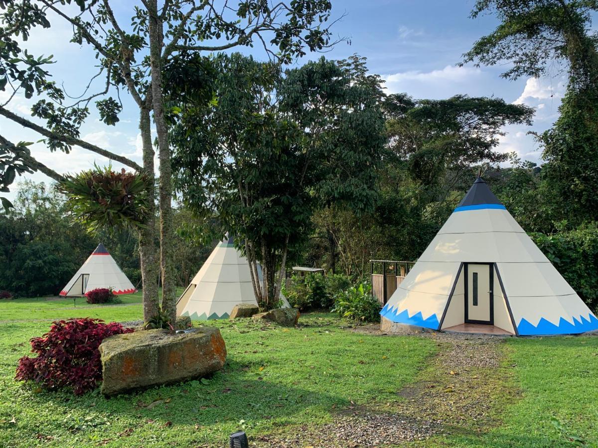 Refugio Del Bosque Glamping Campo de lujo La Mesa (Tequendama)