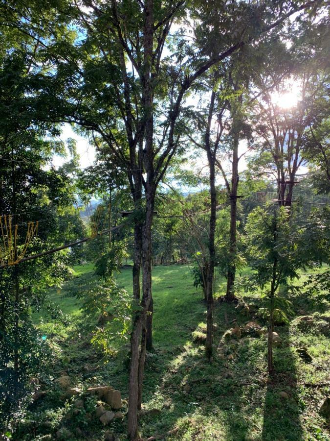 Refugio Del Bosque Glamping Campo de lujo La Mesa (Tequendama)