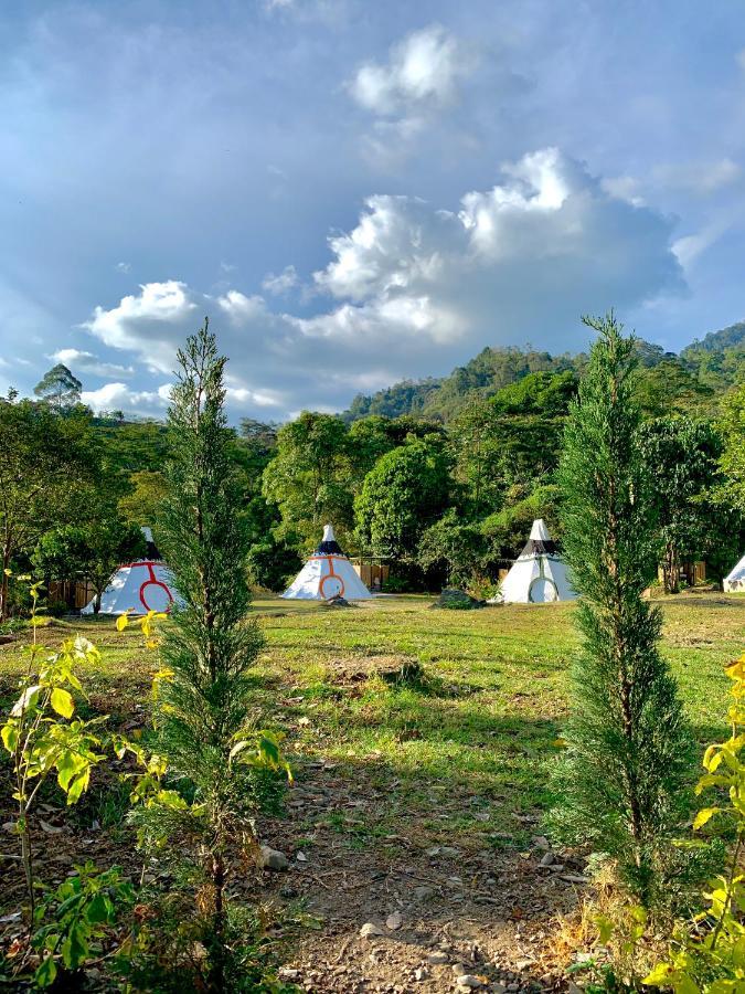 Refugio Del Bosque Glamping *