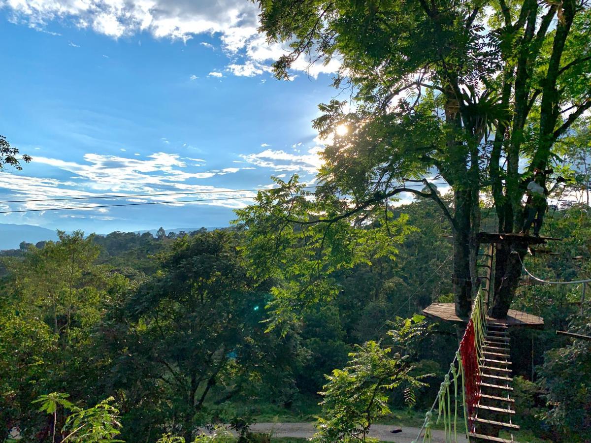 Campo de lujo Refugio Del Bosque Glamping La Mesa (Tequendama)